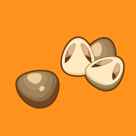 Straw mushroom on a yellow background.のイラスト素材