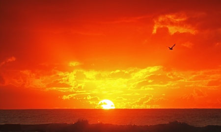 Beautiful Sunrise Over Oceanの写真素材