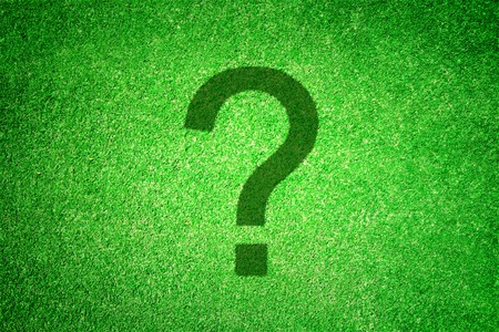 green grass and question markの写真素材