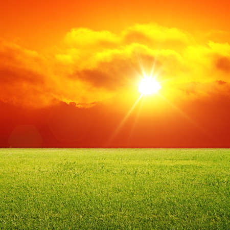 fresh green grass and sunriseの写真素材
