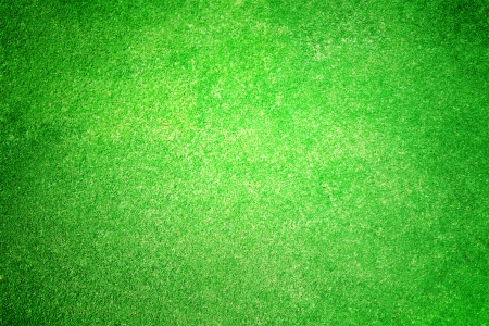 Green grass field,  high resolutionの写真素材