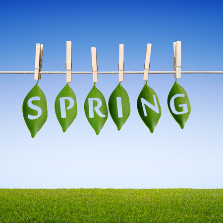leaf impaled on a rope, spring concept