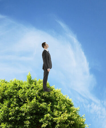 businessman standing on tree and looking to skyの写真素材