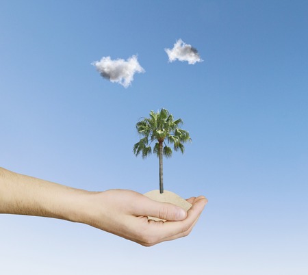 hand holding palm on sky backgroundの写真素材