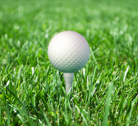 golf ball in fresh green grassの写真素材