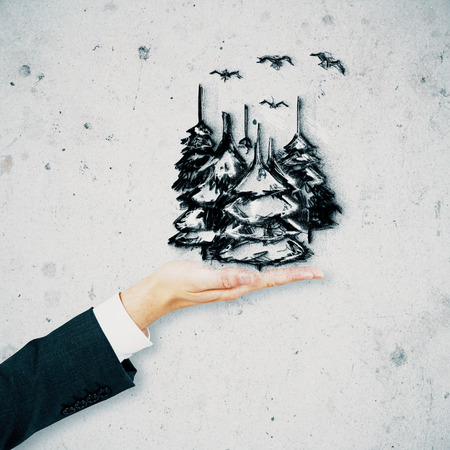 Businessman hand holding abstract drawing of fir trees and birds on textured concrete backgroundの写真素材
