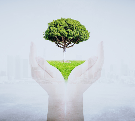 Hand silhouettes holding green tree on city background. Protection conceptの写真素材