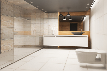 Light  bathroom interior with glass wall and appliances. 3D Renderingの写真素材