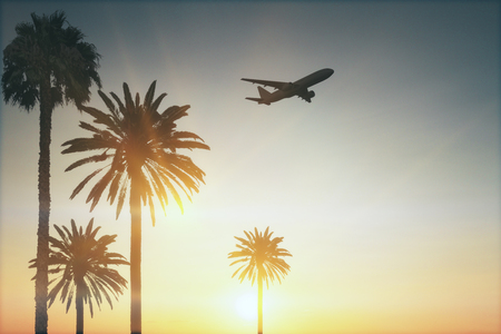 flying airplane above palms at sunset background. 3d renderingの写真素材
