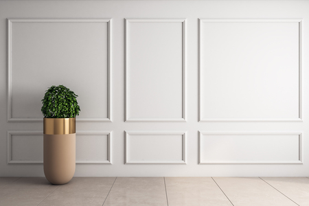 Classical interior with empty white copyspace on wall and decorative pot plant. Mock up, 3D Renderingの写真素材