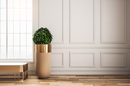 Bright classical interior with window, bench, pot trees and sunlight. 3D Renderingの写真素材