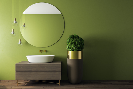 Contemporary green bathroom interior with appliances and decorative pot tree. Design and real estate concept.の写真素材