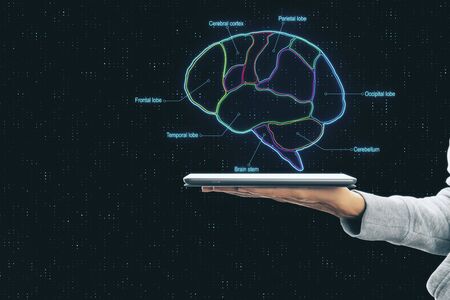 Smart brain concept with brain parts scheme and human hand with digital tablet at dark abstract background.の写真素材
