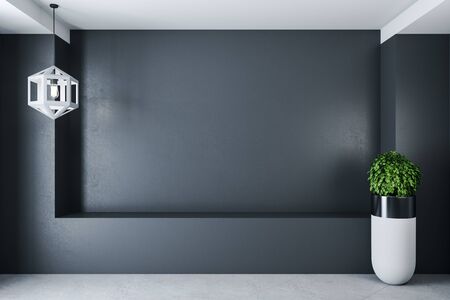 Luxury gallery interior with empty gray wall and plant on floor. Art and design concept. Mock up, 3D Renderingの写真素材