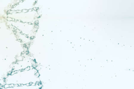 Polygonal dna spirals on abstract white background. Science and technology concept. 3D Renderingの写真素材