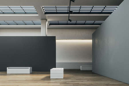 Modern exhibition hall interior with copyspace on concrete gray wall and bench. Gallery and...