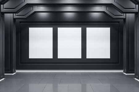 Contemporary classical interior with three empty banners on wall. Art and design concept. Mock up,...