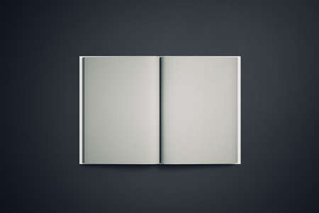 Open book standing on concrete table. Publish and advertisement concept. Mock up, 3D Rendering