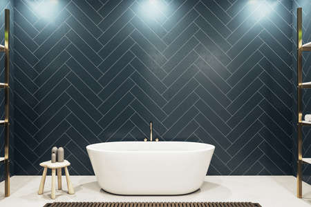 Bathroom interior with white bath and empty wall. Style and hygiene concept. Mock up. 3D Renderingの写真素材