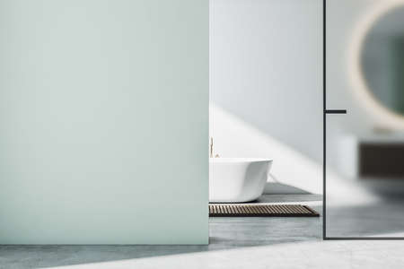 Modern bathroom interior with bath and blank wall. Style and hygiene concept. 3D Renderingの写真素材