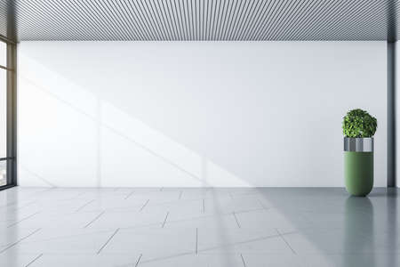 Sunny modern empty room with blank light wall, gray floor and green shrub vase. Mockup. 3D renderingの写真素材