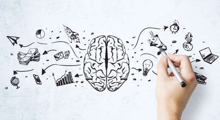 Creation ideas concept with human hand writing sketch of brain parts and business icons set on light wallの写真素材