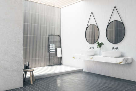 Contemporary bathroom interior with two mirrors, decorative plant, shower and other items. Lifestyle, hotel and design concept. 3D Renderingの写真素材