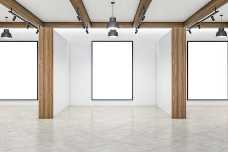 Modern concrete and wooden empty interior with columns and white mock up frames on wall. Gallery and...