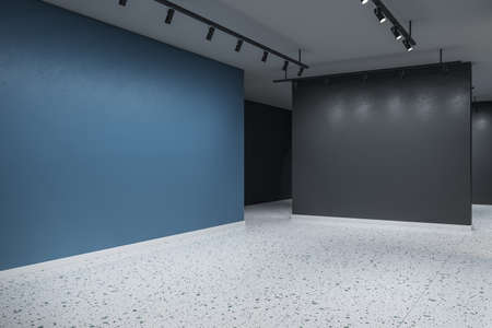 Clean concrete exhibition hall interior with mock up place on wall. Art and museum concept. 3D Renderingの写真素材