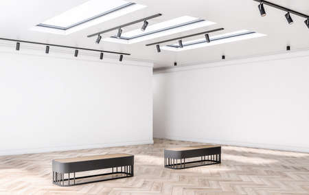 Sunny empty light shades art gallery with blank white walls with copyspace, windows and black...