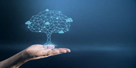 Close up of businessman hand holding abstract digital polygonal cloud tree on blue background with...