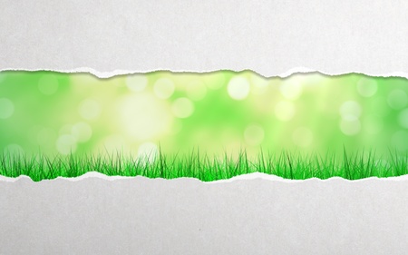 torn paper and grass backgroundの写真素材