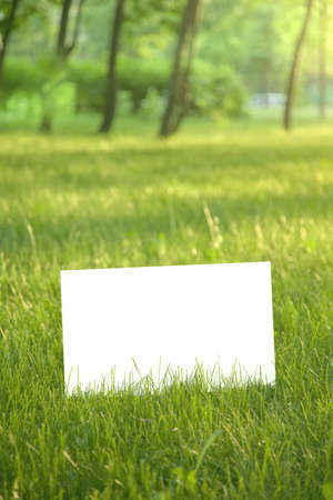 blank paper on green grassの写真素材