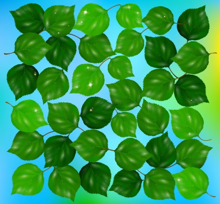 many green leafsの写真素材