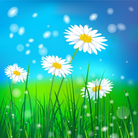 white camomile on green grass backgroundのイラスト素材