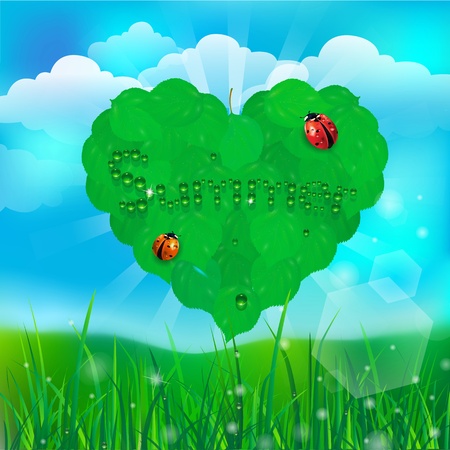 green heart on green grass backgroundのイラスト素材
