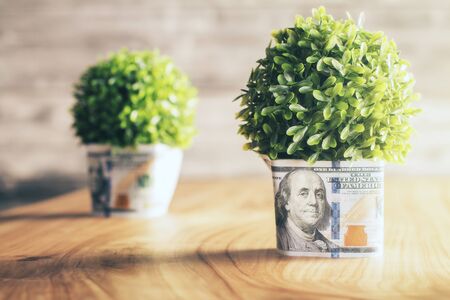 Plants with dollar banknotes around the potsの写真素材