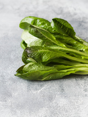 Some green romaine lettuce on a on greyの写真素材