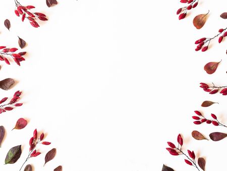 Barberry and leafs Frame isolated on white background and open space for text. Botany background.の写真素材