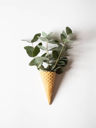 Waffle ice cream cone with twigs of green eucalyptus on a white background. top viewの写真素材