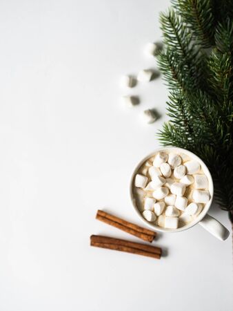 White mug with cacao with spices and marshmallows and fir branch on whiteの写真素材