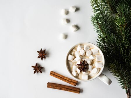White mug with cacao with spices and marshmallows and fir branch on whiteの写真素材