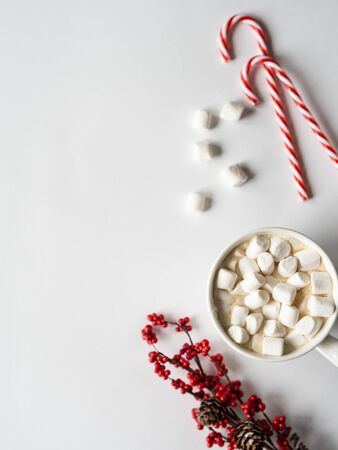 White mug with cacao with spices and marshmallows on whiteの写真素材