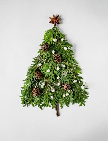 Christmas composition in shape of Christmas tree with branches of thuja, flowers and cones on white background. Flat layの写真素材