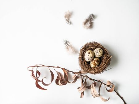 Easter creative composition from Nest, Quail eggs, feathers and branch of tree on a white background. Top viewの写真素材