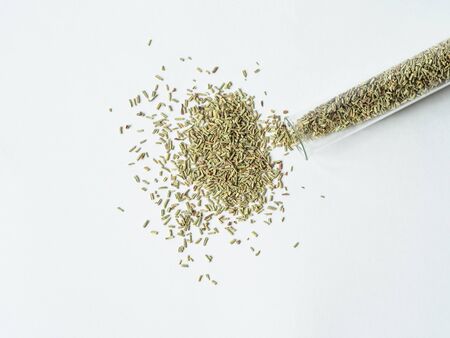 Dry green rosemary in glass test tube and sprinkled on a white background. Copy space. Top viewの写真素材