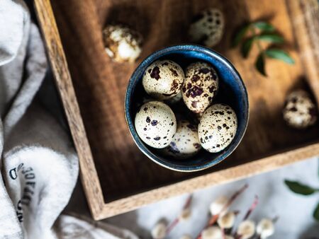 Easter composition with eggs in blue cup on wood tray with willows and leaves on grey background. Top viewの写真素材