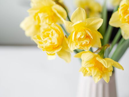 Bouquet of spring flowers in a vase on the table. Daffodil narcissus in vase lifestyle.の写真素材