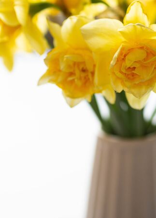 Bouquet of spring flowers in a vase on the table. Daffodil narcissus in vase lifestyle.の写真素材