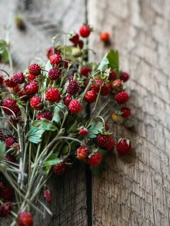 Bouquet of twigs of ripe wild strawberries with leaves on rustic wood background. copy spaceの写真素材
